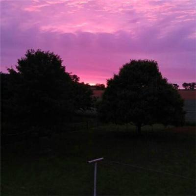 1788网投手机app下载